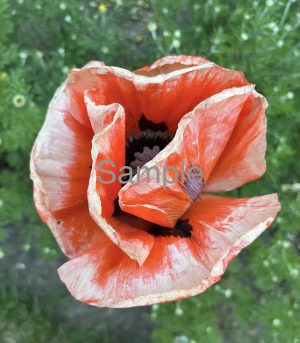 Paper Flower